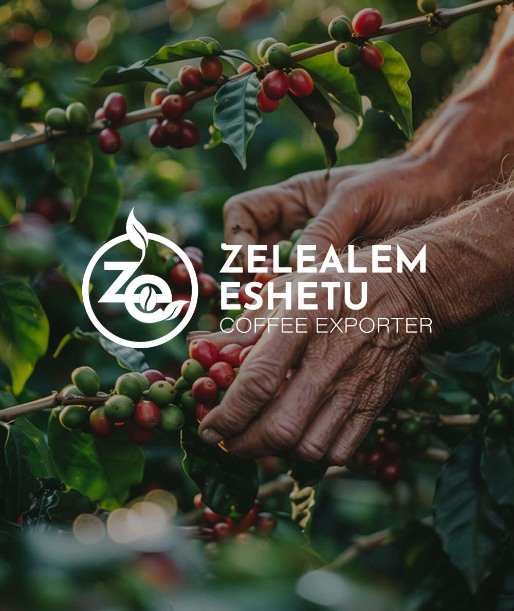 Zelealem Eshetu Coffee